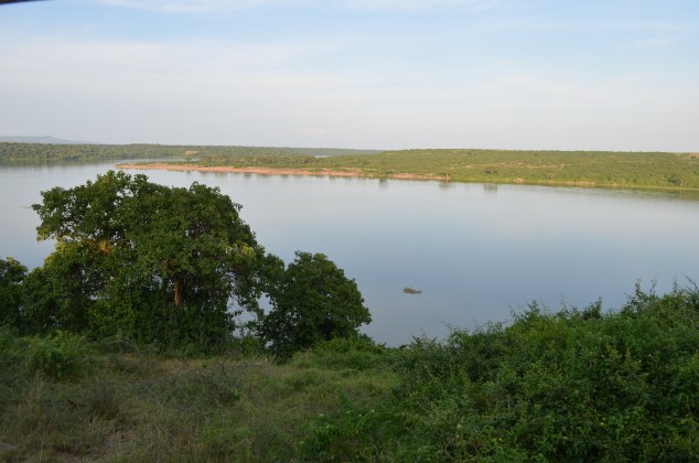 Dams are built for purposes such as generating hydroelectricity, creating recreational areas, minimizing flood risks, diverting water for irrigation, and providing water for towns and cities