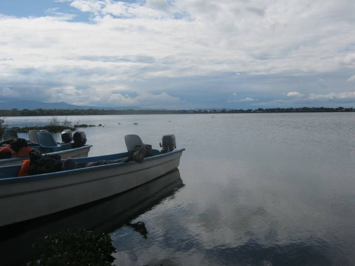 Experts blame the decrease in Lake Victoria water levels on deforestation, encroachment of water towers and climate change among others