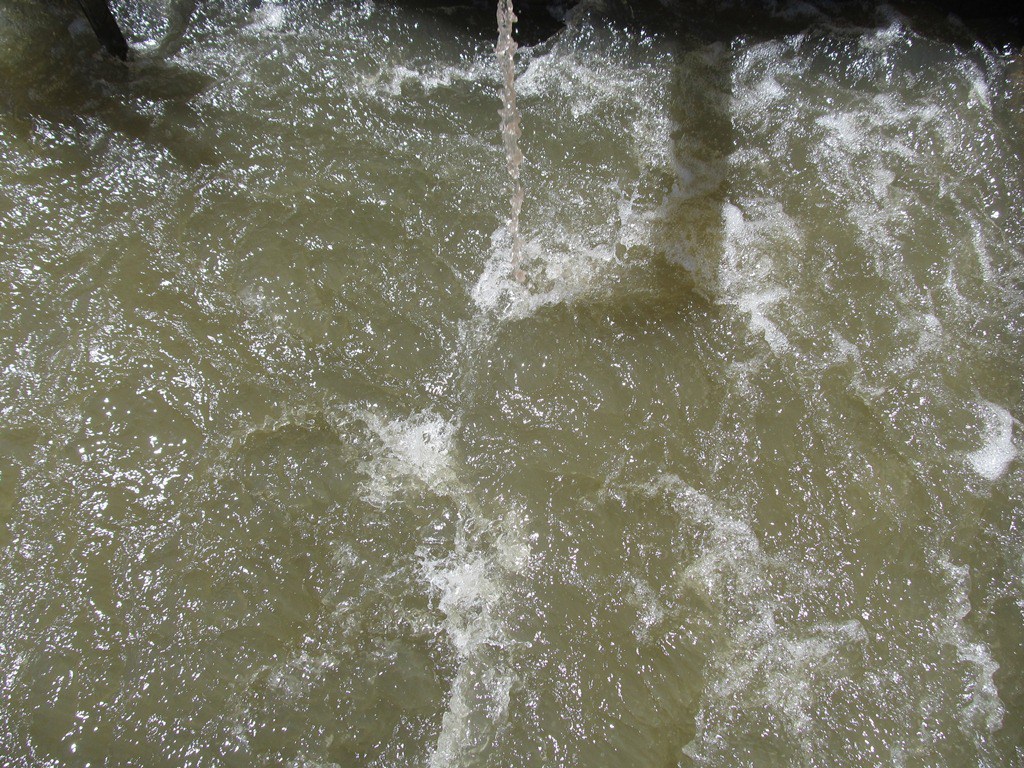 water 1
