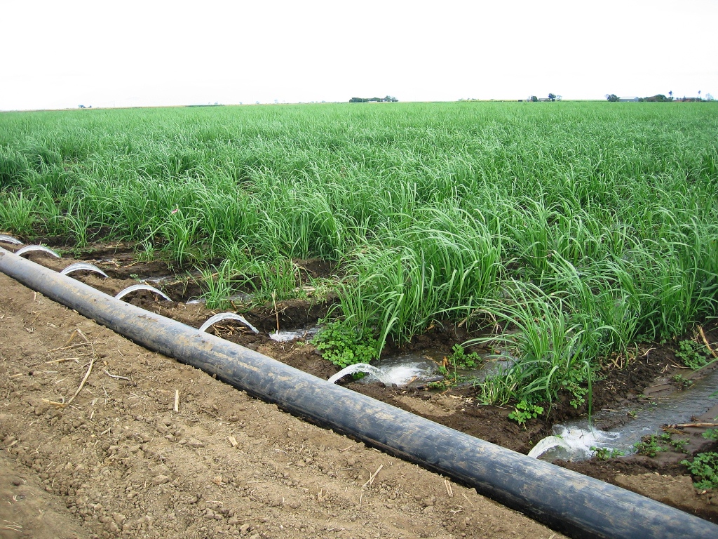 North Mara drip irrigation for local people around the gold mine site1