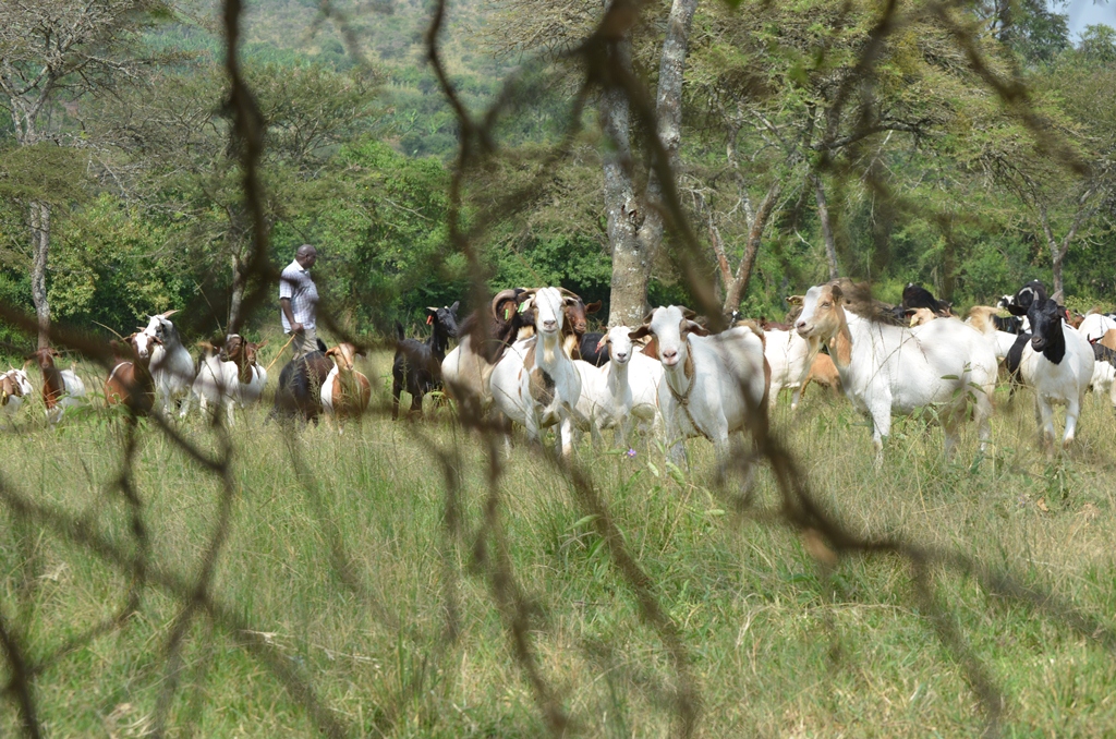 Climate Agriculture