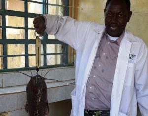 KEwambui catfish