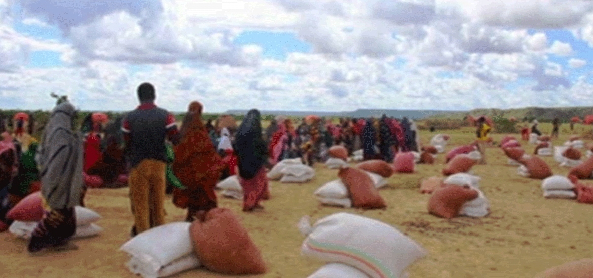 somali 2