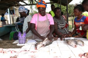 Ida Odhiambo in pink gutting the Nile perch ready to extract the maw. 1