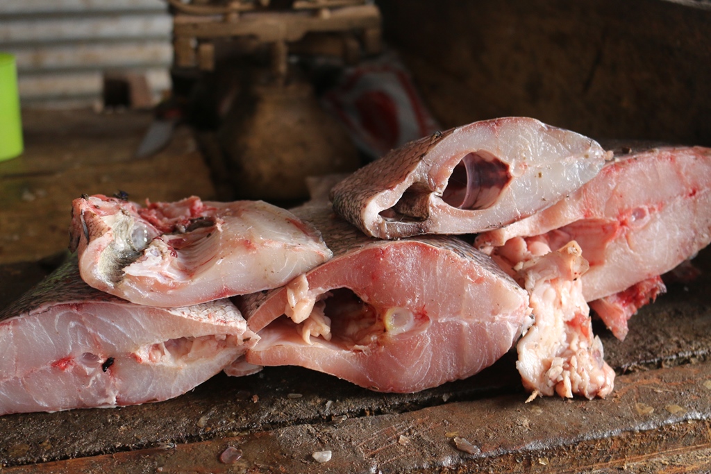 Mugira FishOne
