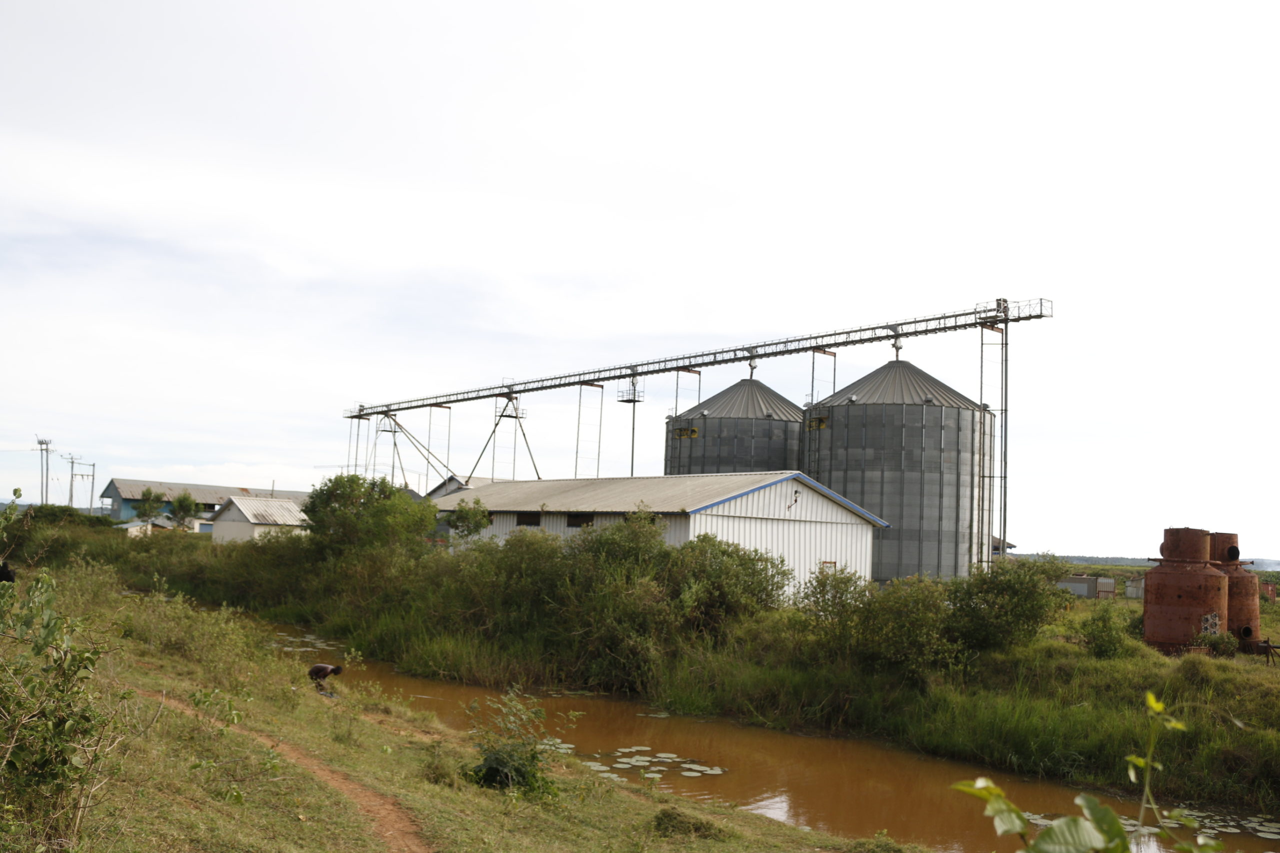 These rice silos have since stopped being used scaled