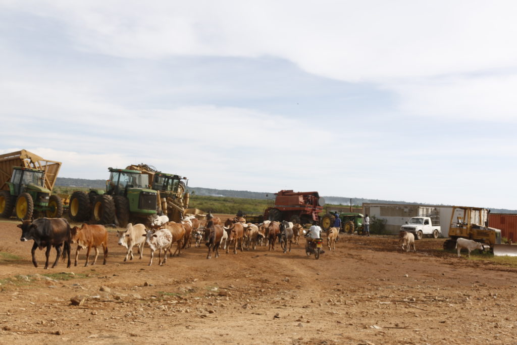 Tractors and other heavy agricultural equipment that are lying idle in the yard of Dominion Farms Limited