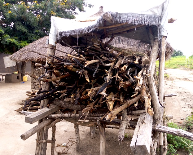 Bundles of fire wood packed at home in Ariwa Village in Rhino Camp Refugee Settlement Photo By Robert Ariaka