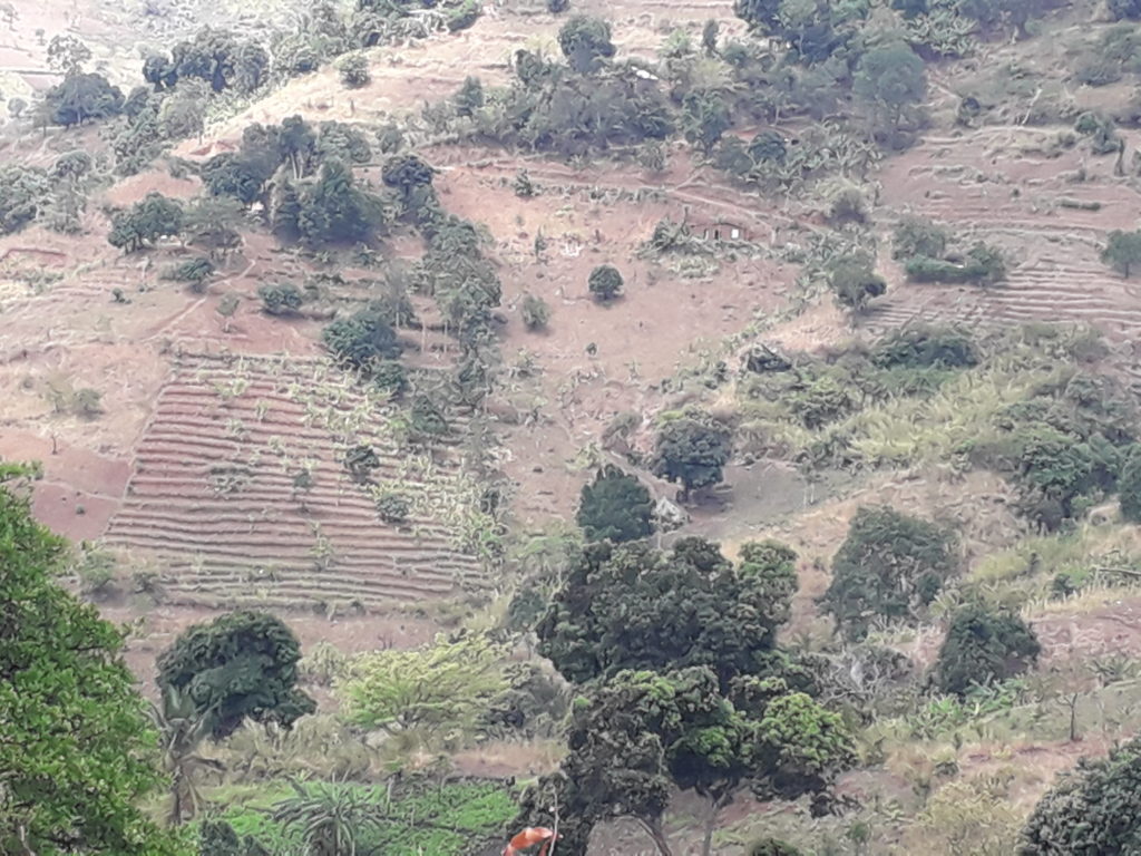 a section of mliman farming areas for local farmers in Moro