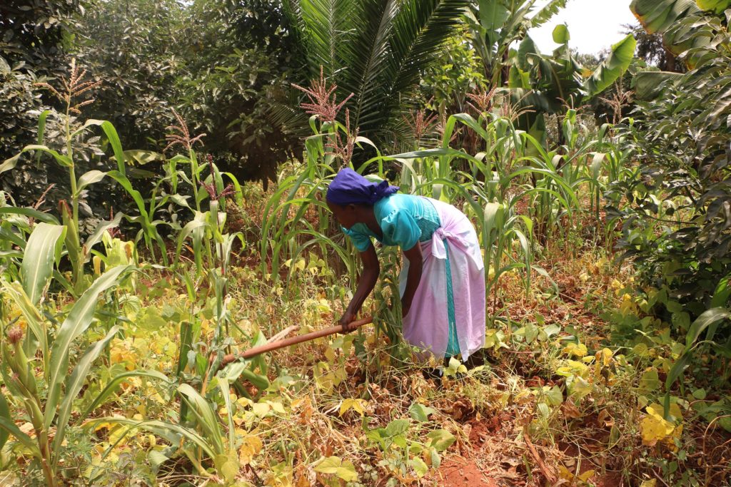 Patricia weeding in her farm
