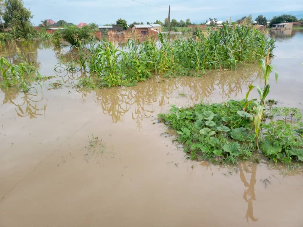 PIC FLOOD BUTERERE