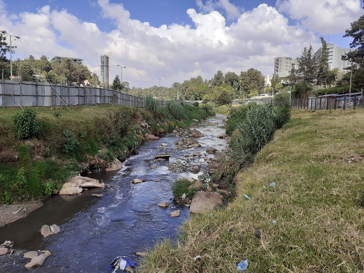 የአዲስ አበባ የገነባችው ፍቱን መዳኛ