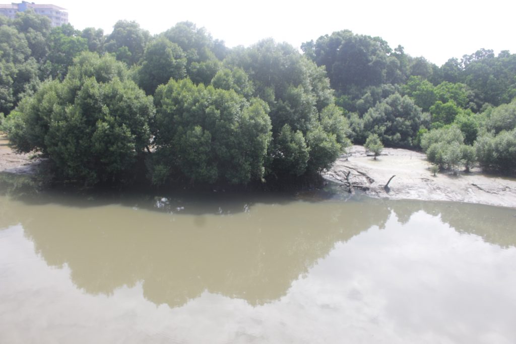 Selander Bridge OR Msimbazi Bay 05 1