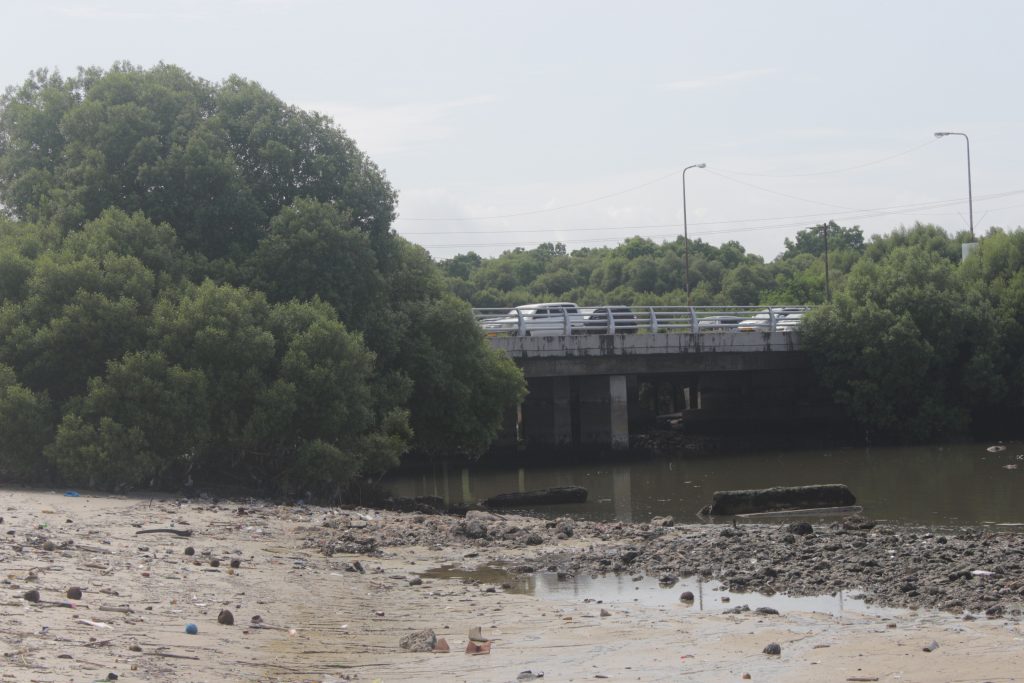 Selander Bridge OR Msimbazi Bay 11