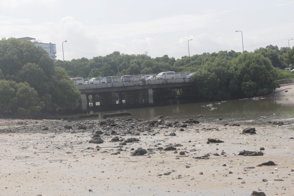 Selander Bridge OR Msimbazi Bay 16