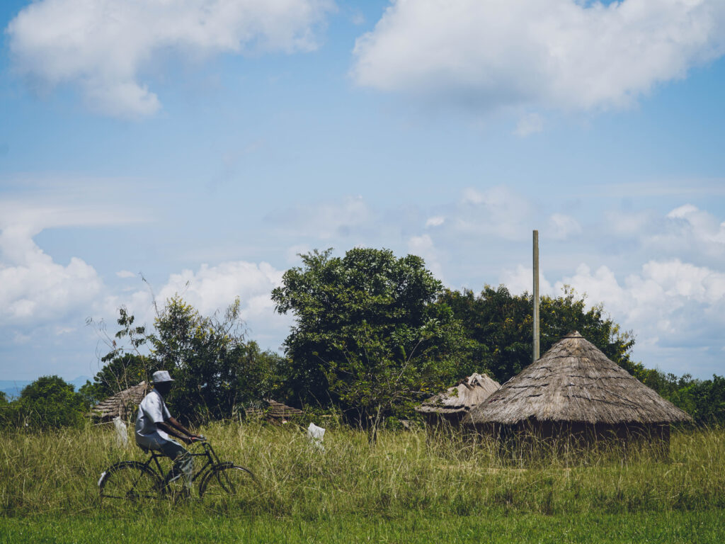 buliisa uganda