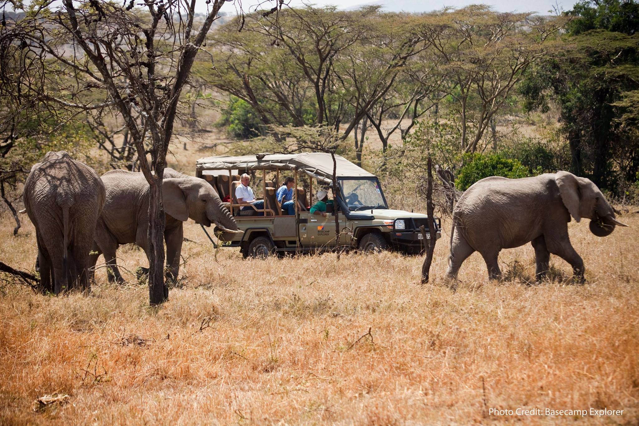 Conservancies in Kenya. By Kenya Wildlife Conservancies