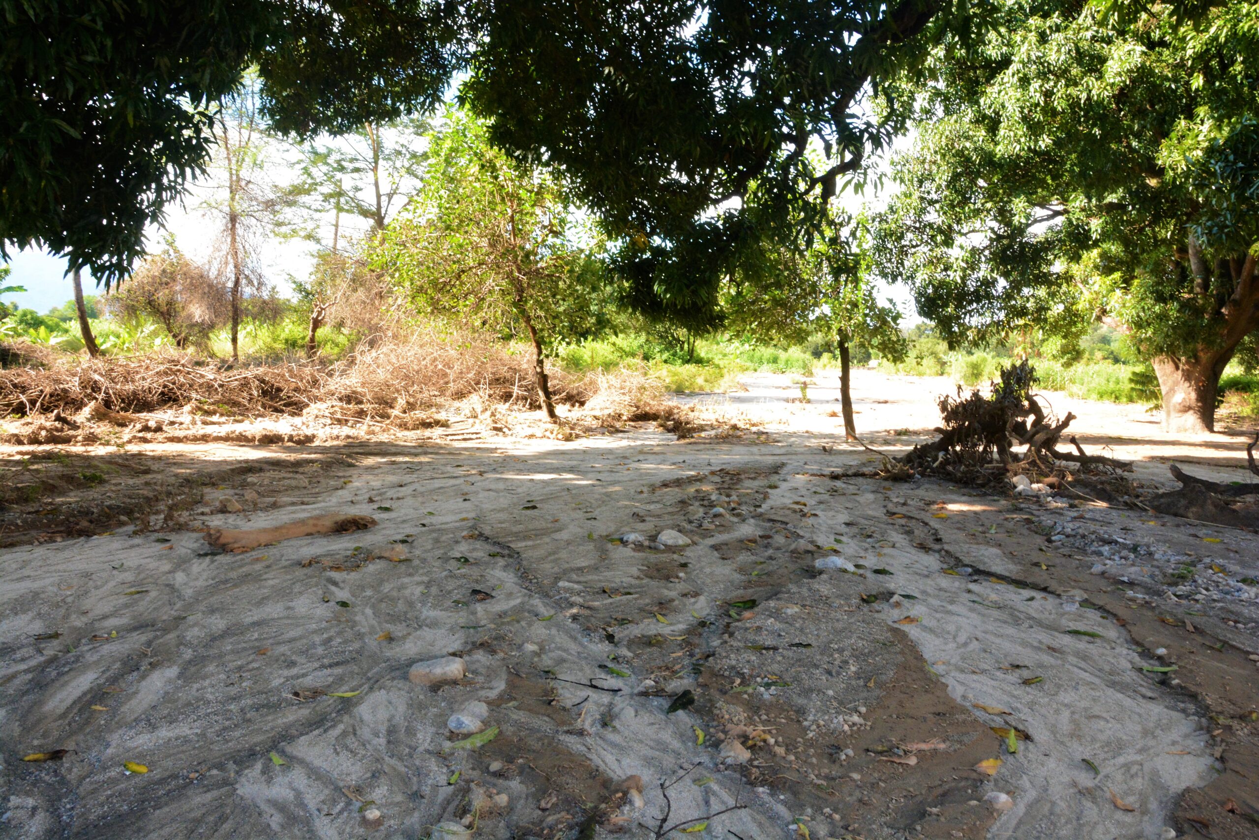 Diverted tributaries of Lake Manyara to farms