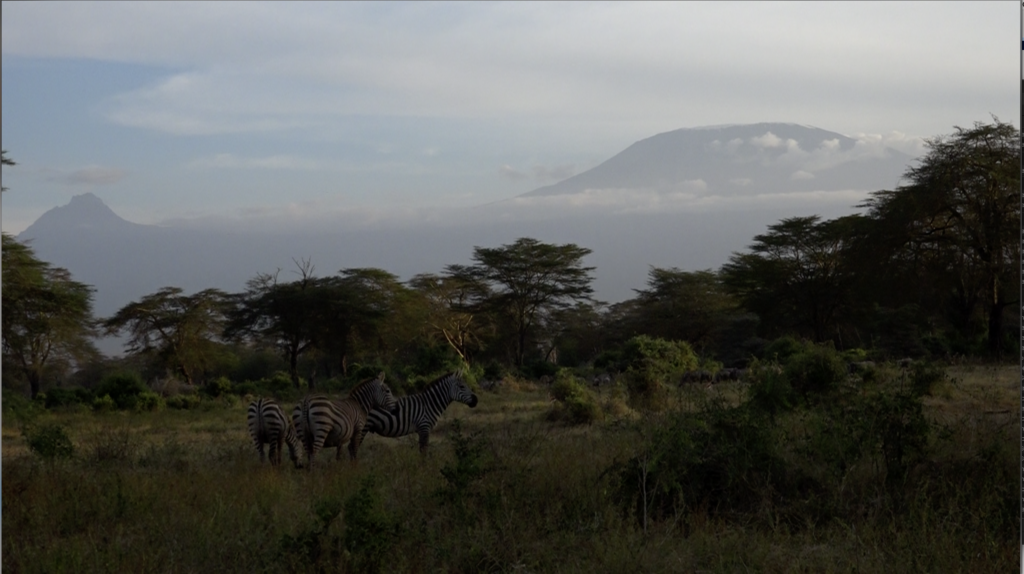 amboseli landscape