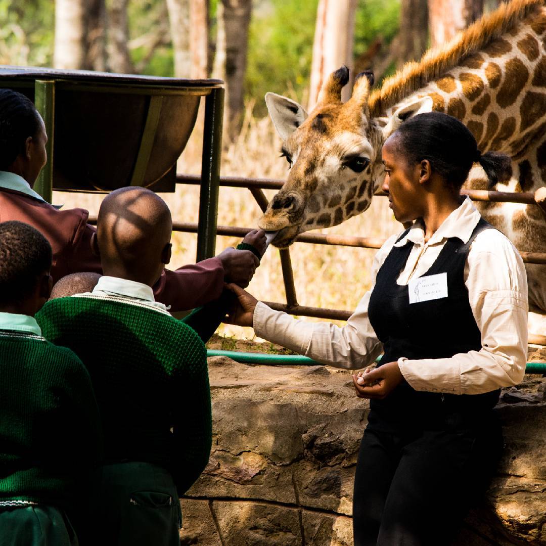 Kenyan school children come to learn about conservation.