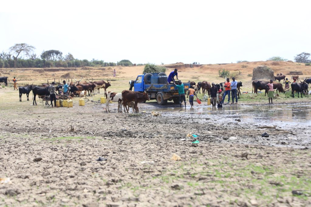 People collect water for livestock from the Lake shores in teh abandoned buffer zone 1 1 scaled 2