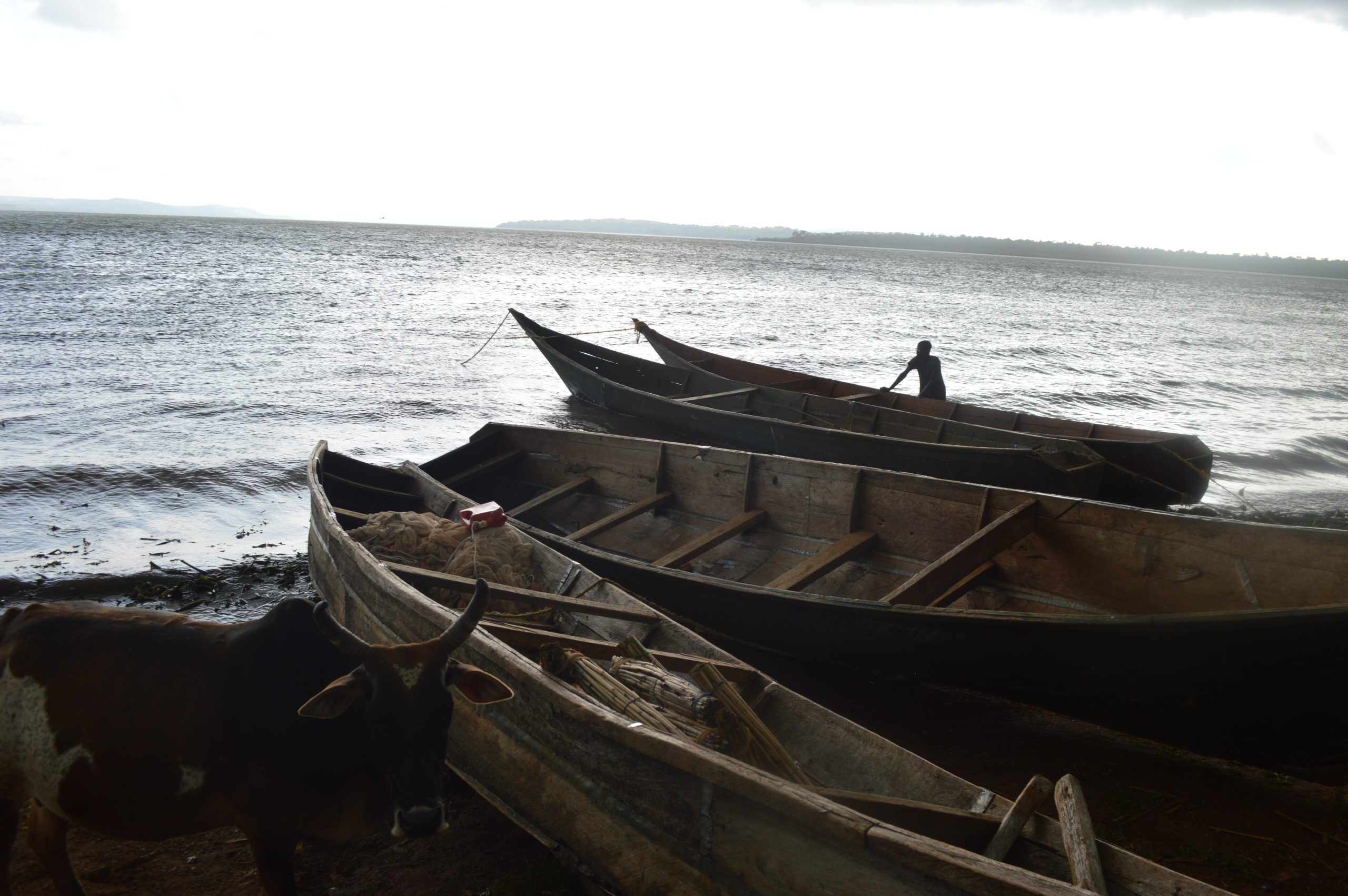 Copy of boats docked at nakalanga landing site scaled