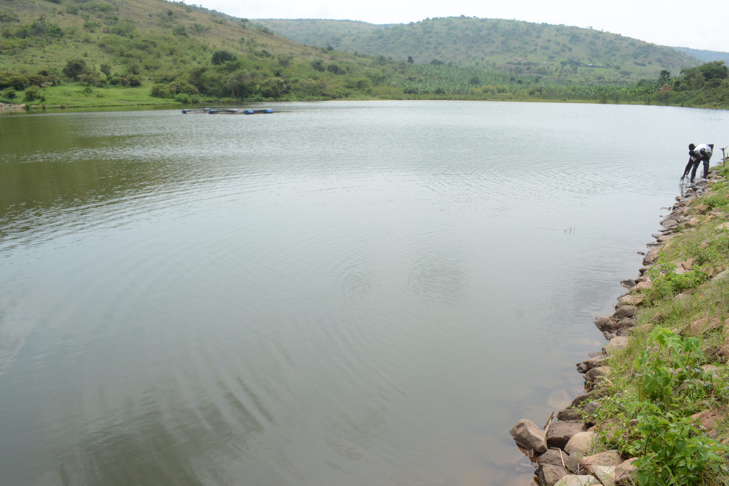Kagango earth dam found in Kashumba Sub County in Isingiro district that was construcred by the ministry of water and environment 5 scaled