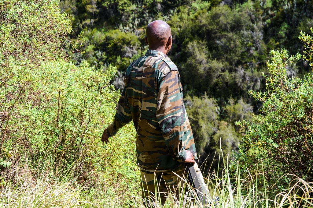 Abdi showing off a section of the hills where birds flocked in the past including vultures