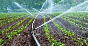 irrigation 3