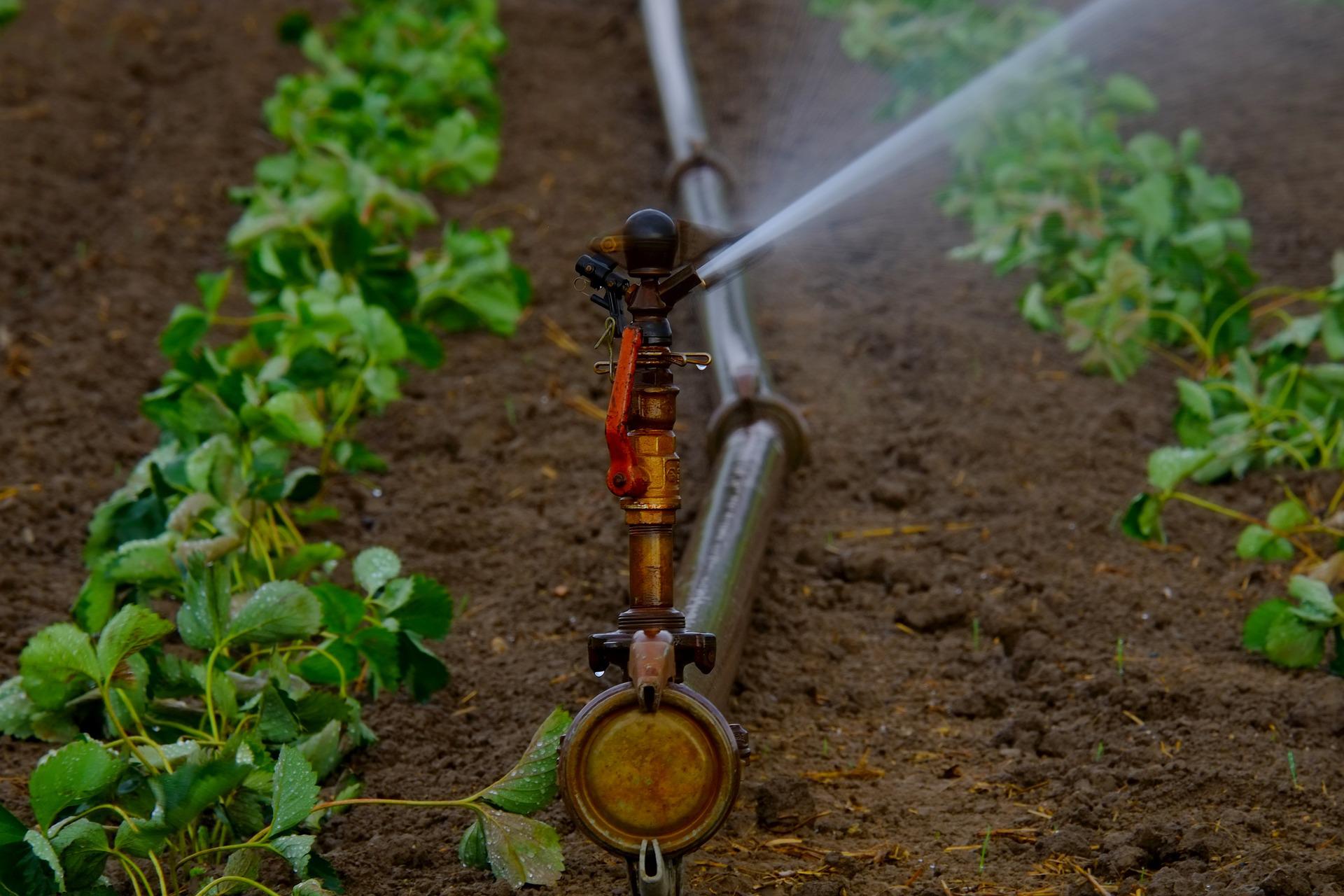 irrigation in Ethiopia