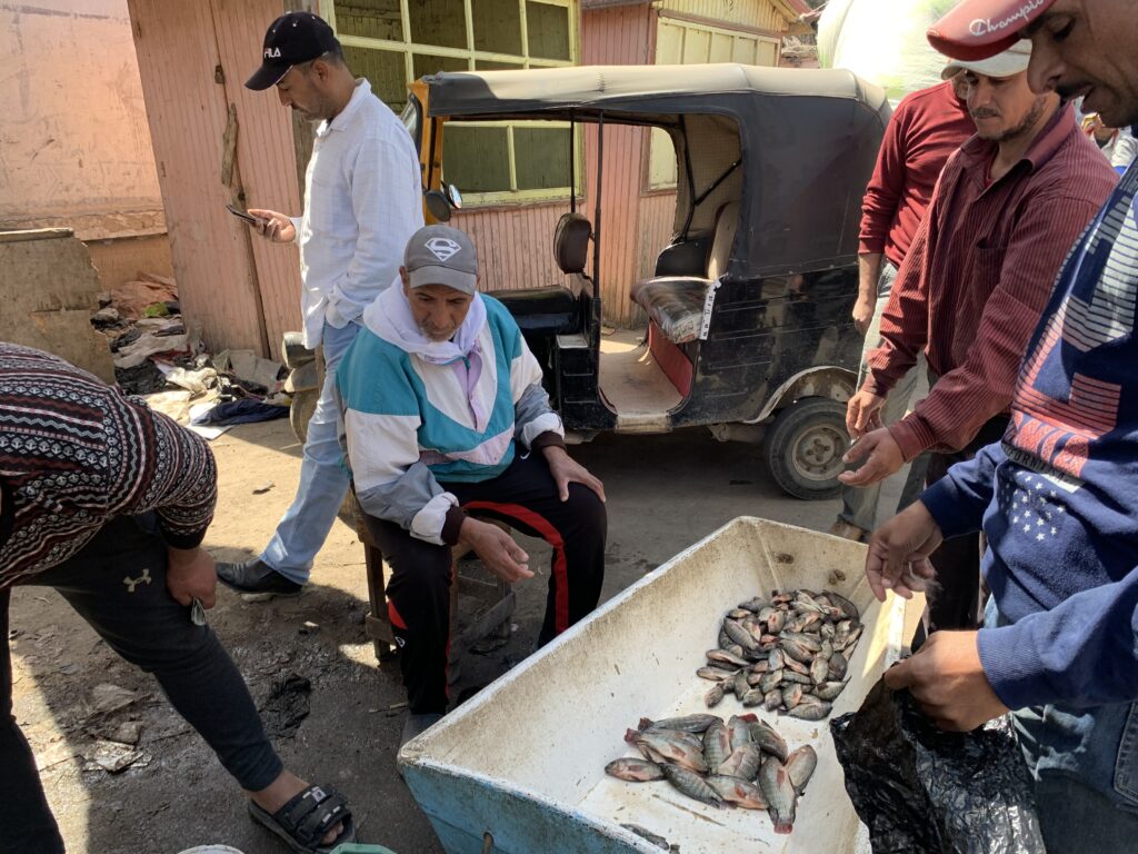 أحد الصيادين يبيع ما قام بصيده ليلة أمس