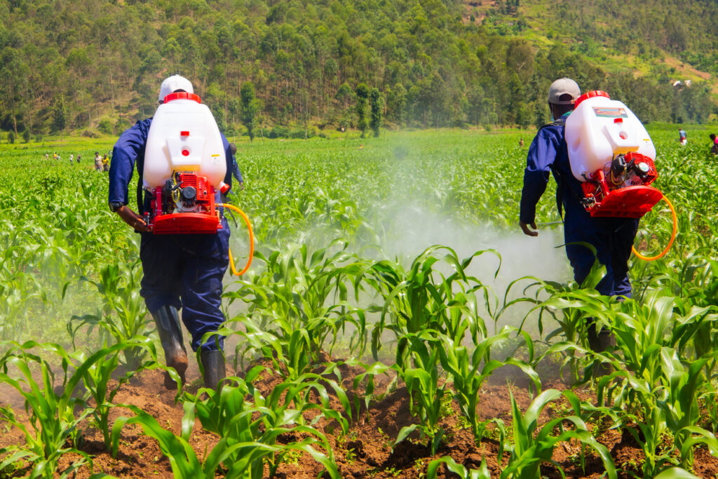 La sécheresse et les projets d’irrigation bâclés entraînent une hausse des prix des denrées alimentaires