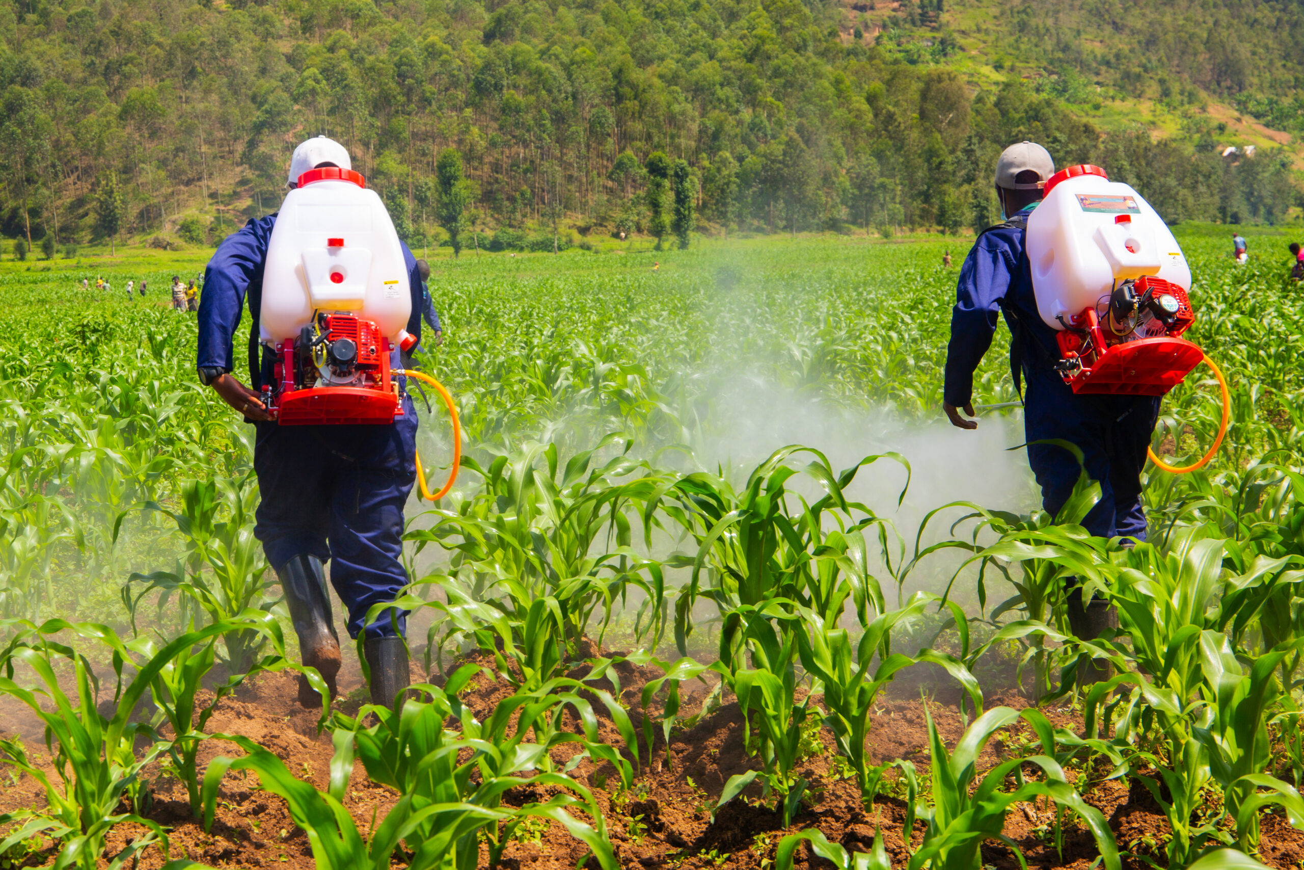 Irrigation