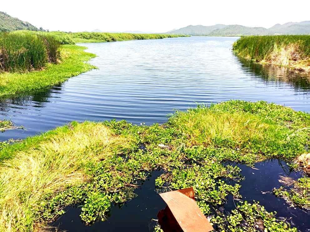 Mara River