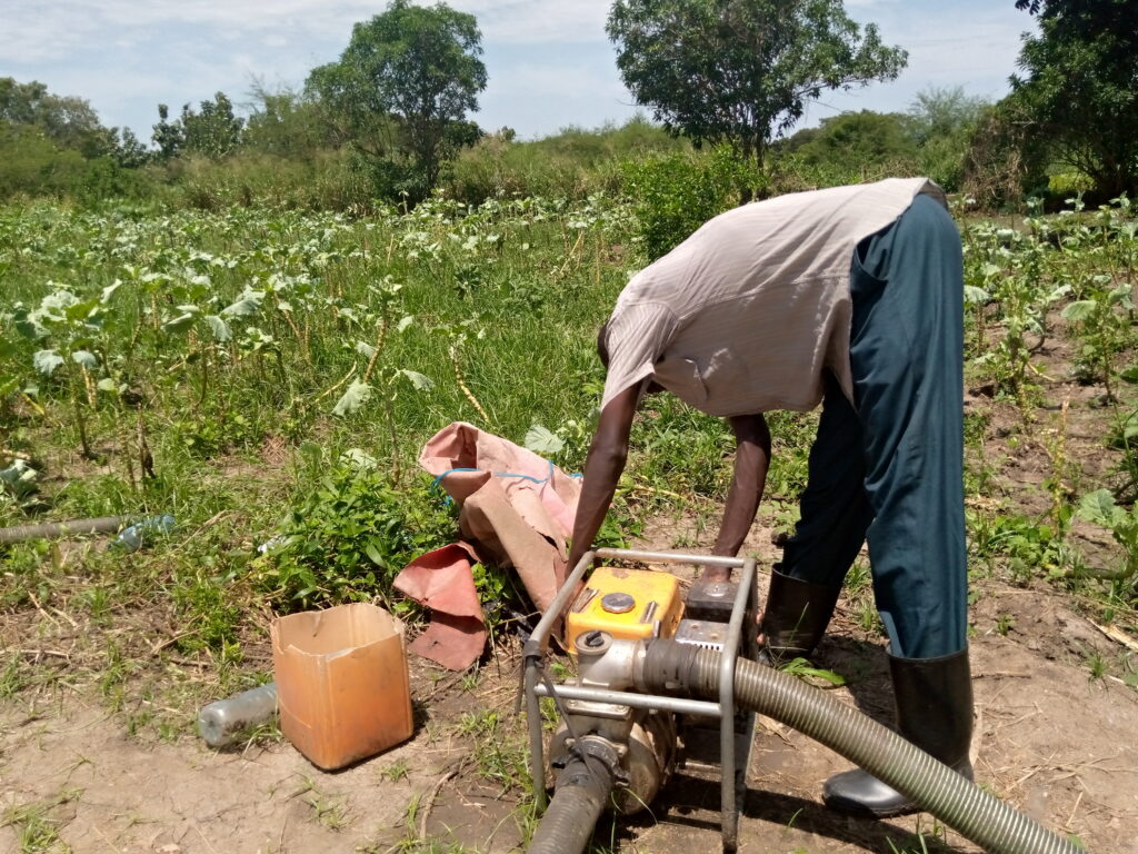 Farmers on Gondokoro island irrigating their crops using a water pump machine 2 1