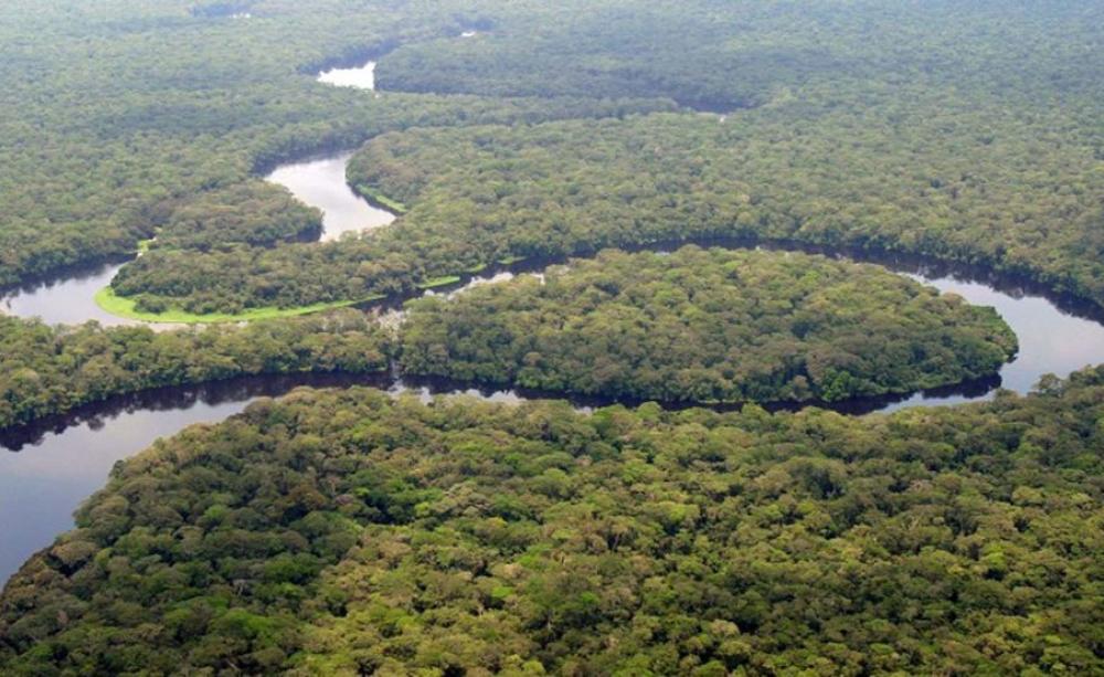 congo basin via www.sizeofwales.org .uk e1481900696869