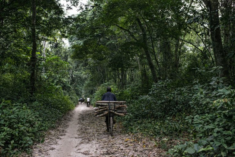 infocongo pic