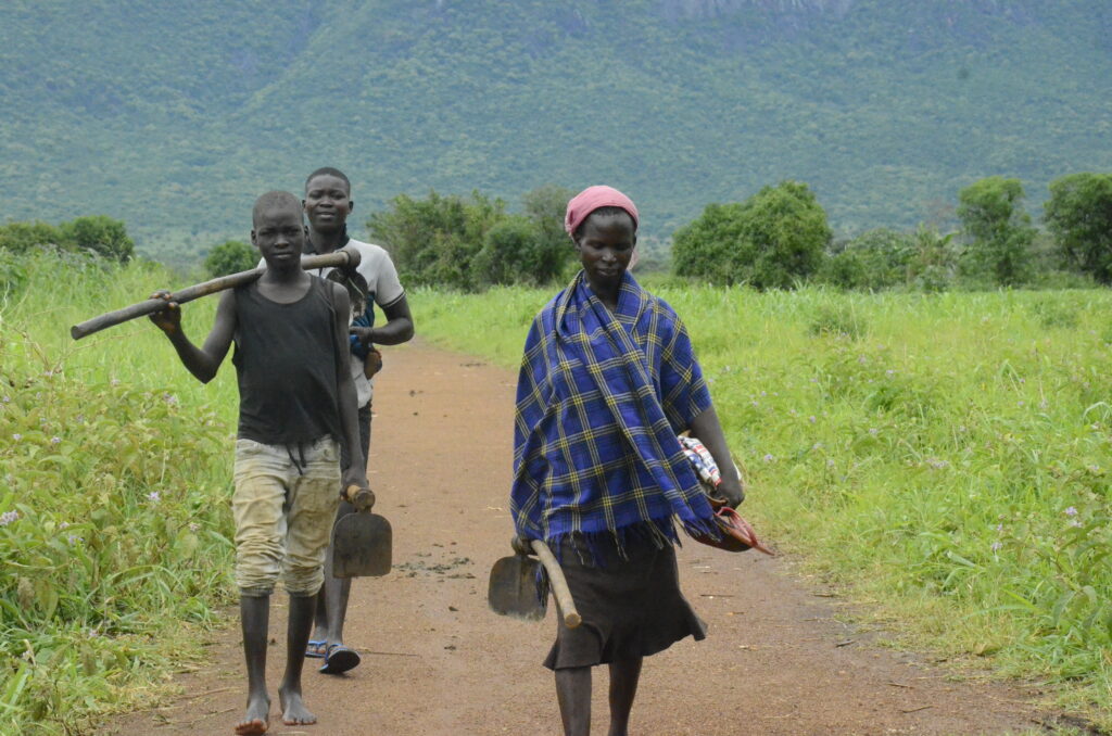 Some of the farmers farming within the irrigation walking back home from their gardens 1