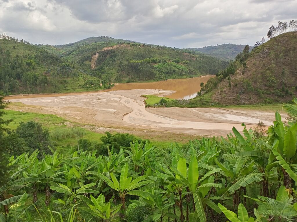 Nyarabongo