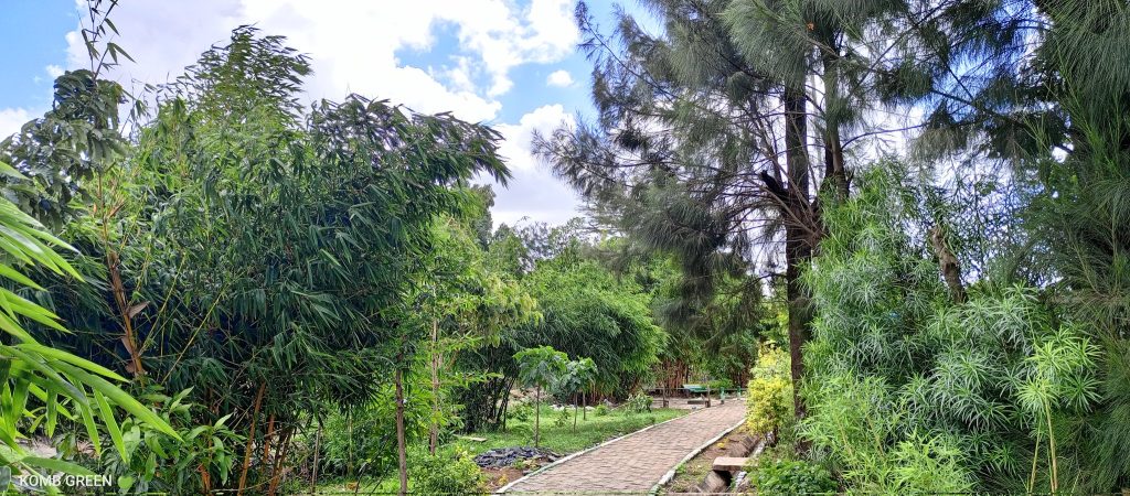 A SECTION OF THE PARK 1024x450 1