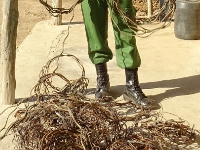 poaching snares