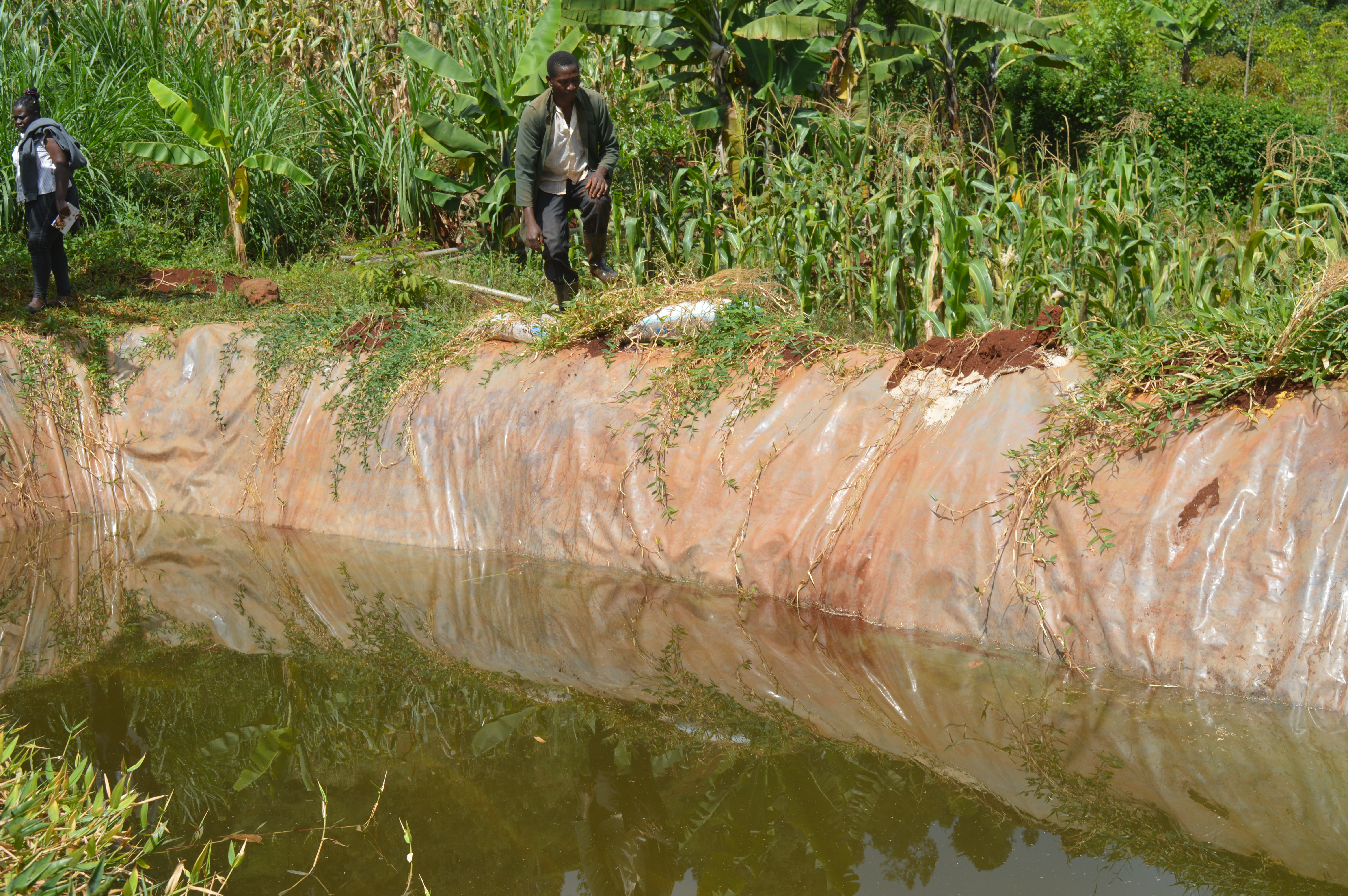 David Maina at his water pan in Muranga County