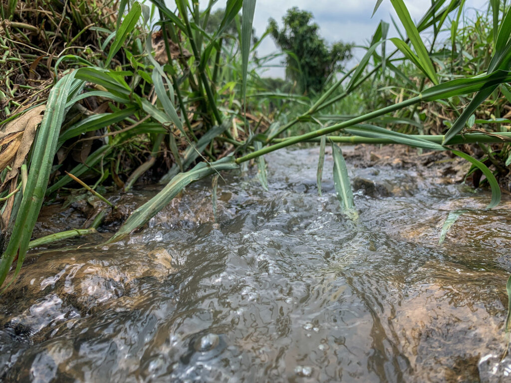 groundwater
