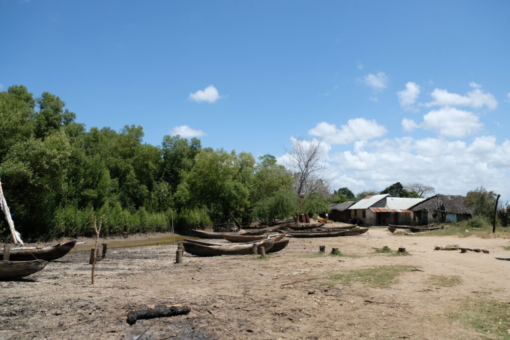 Mchungu 1 1