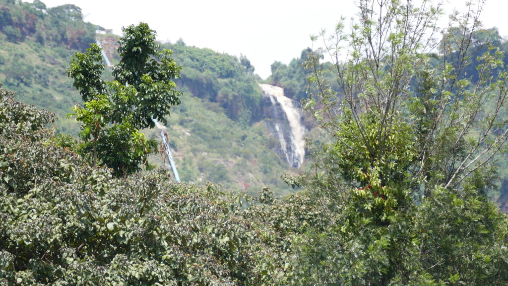 stream in Mt Elgon 1