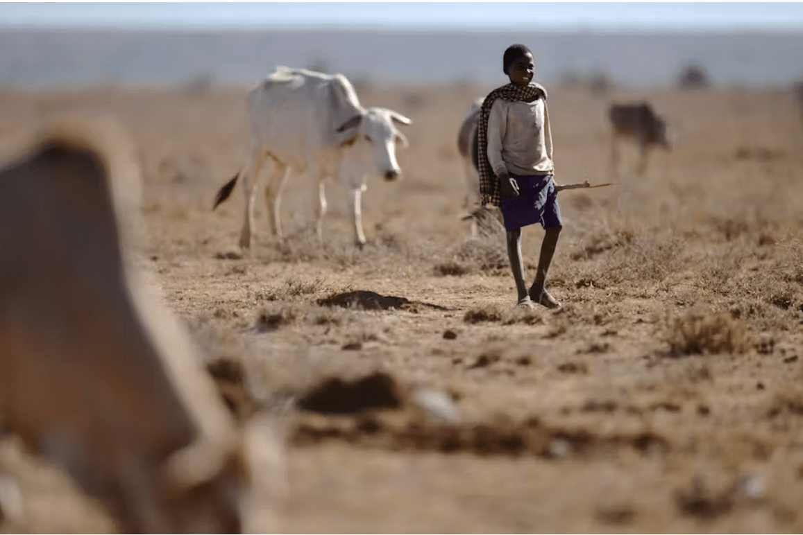 pastoralists