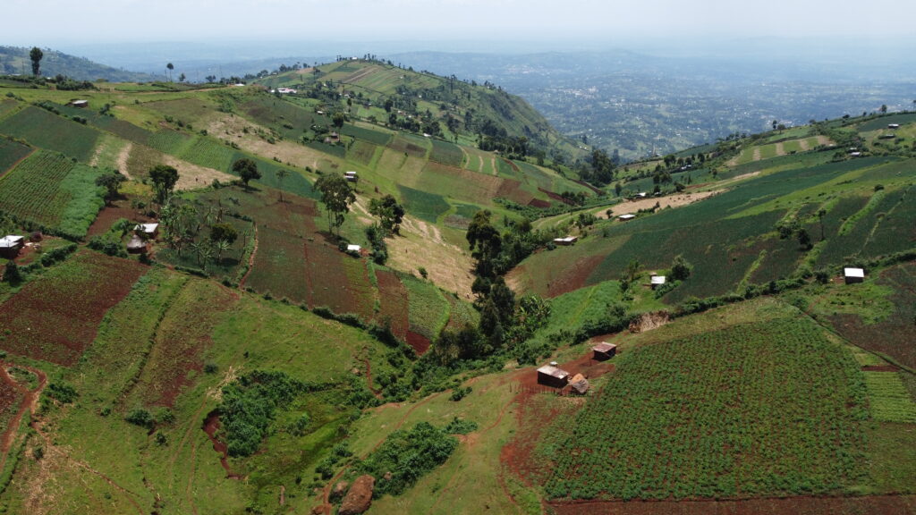 Mt Elgon aeriel view 1