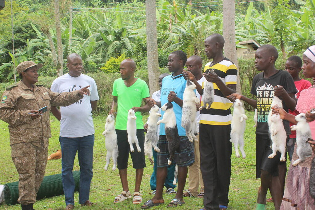 Youth Livelihood Projects Ruwenzori