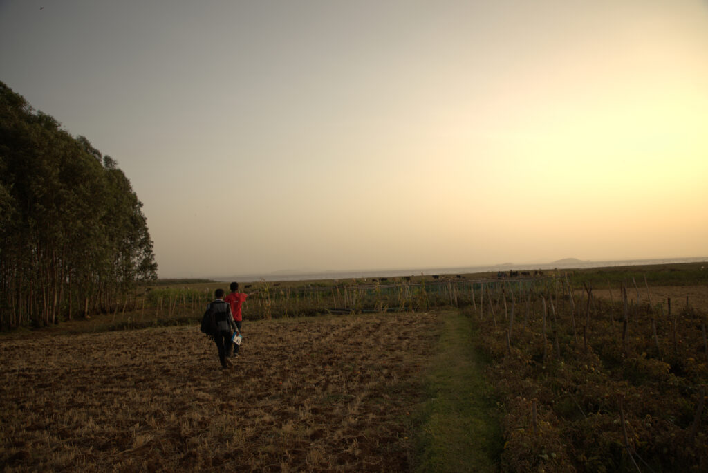 farm for irrigation 2