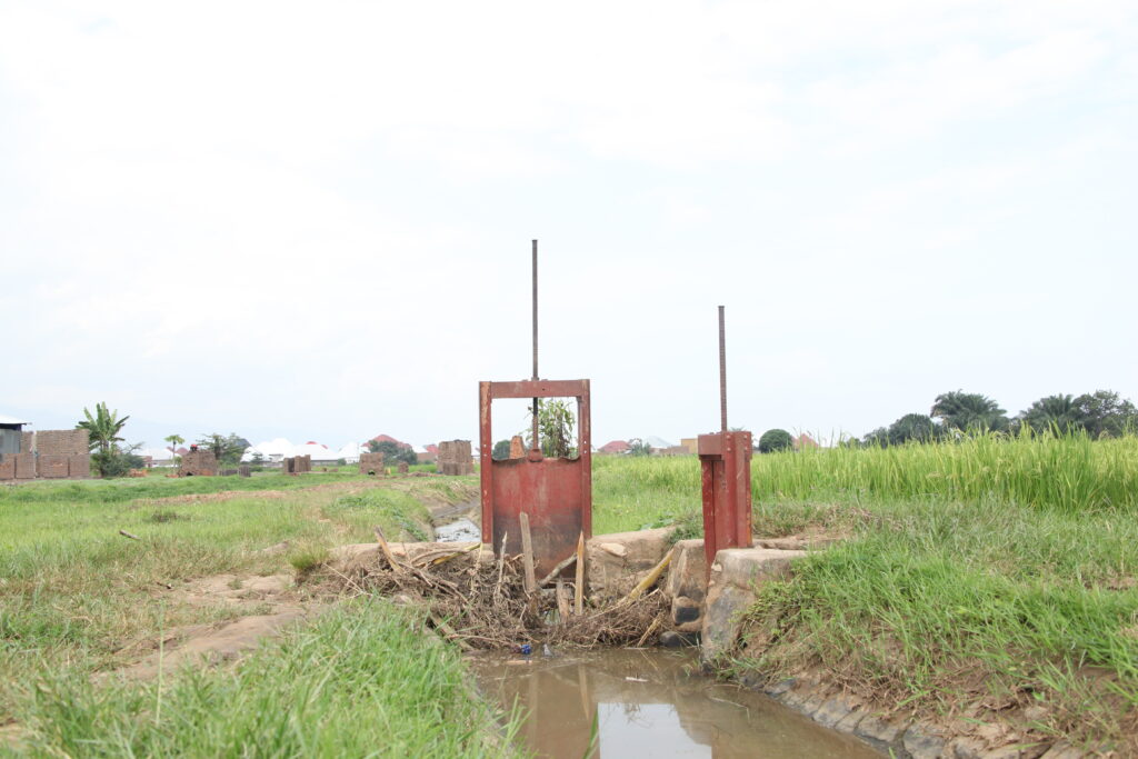 kabuye perimeter 1